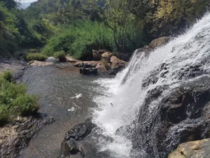 unnamed - 2025-09-23T121243.521