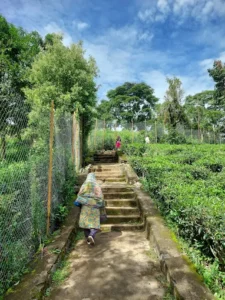 unnamed - 2025-09-23T121258.687