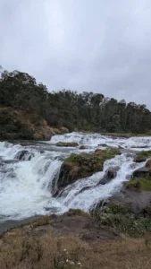 unnamed - 2025-09-23T121304.517