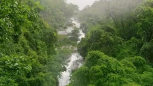 unnamed - 2025-09-23T121412.119