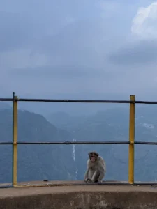 unnamed - 2025-09-23T121436.067